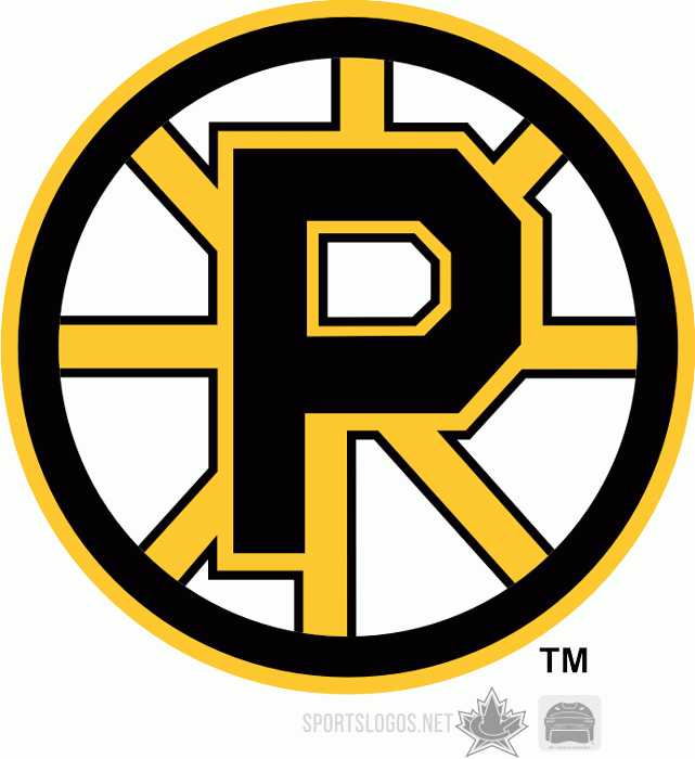Providence Bruins 1995 96-2011 12 Primary Logo iron on transfers for T-shirts